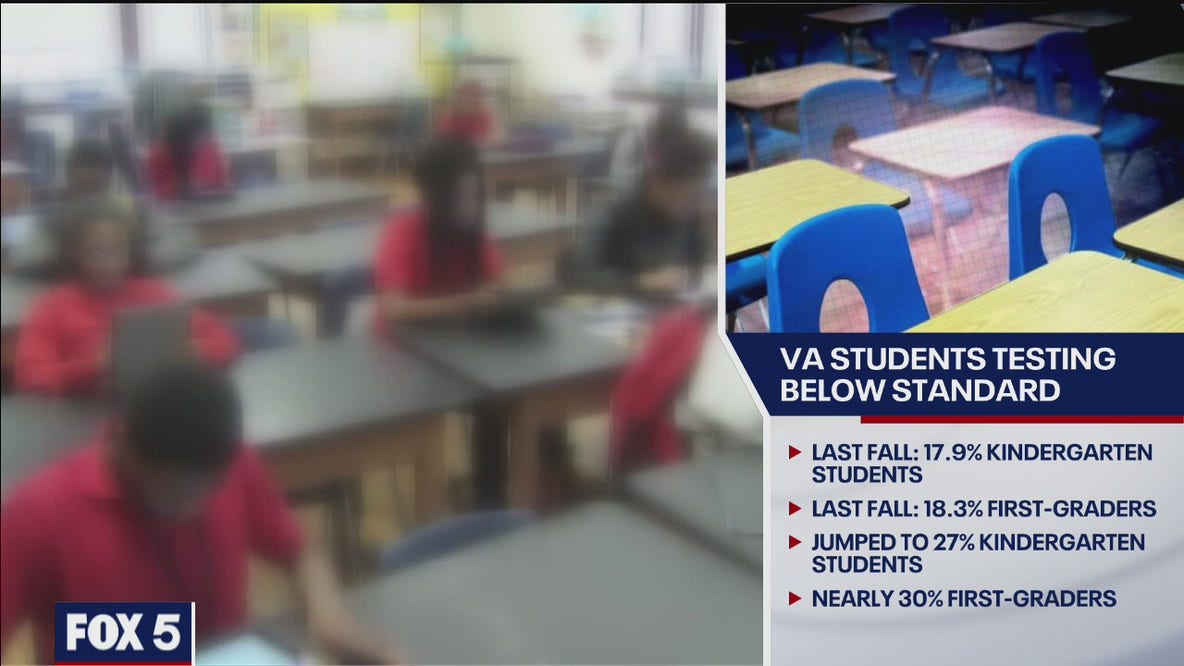 Virginia students struggling amid the pandemic